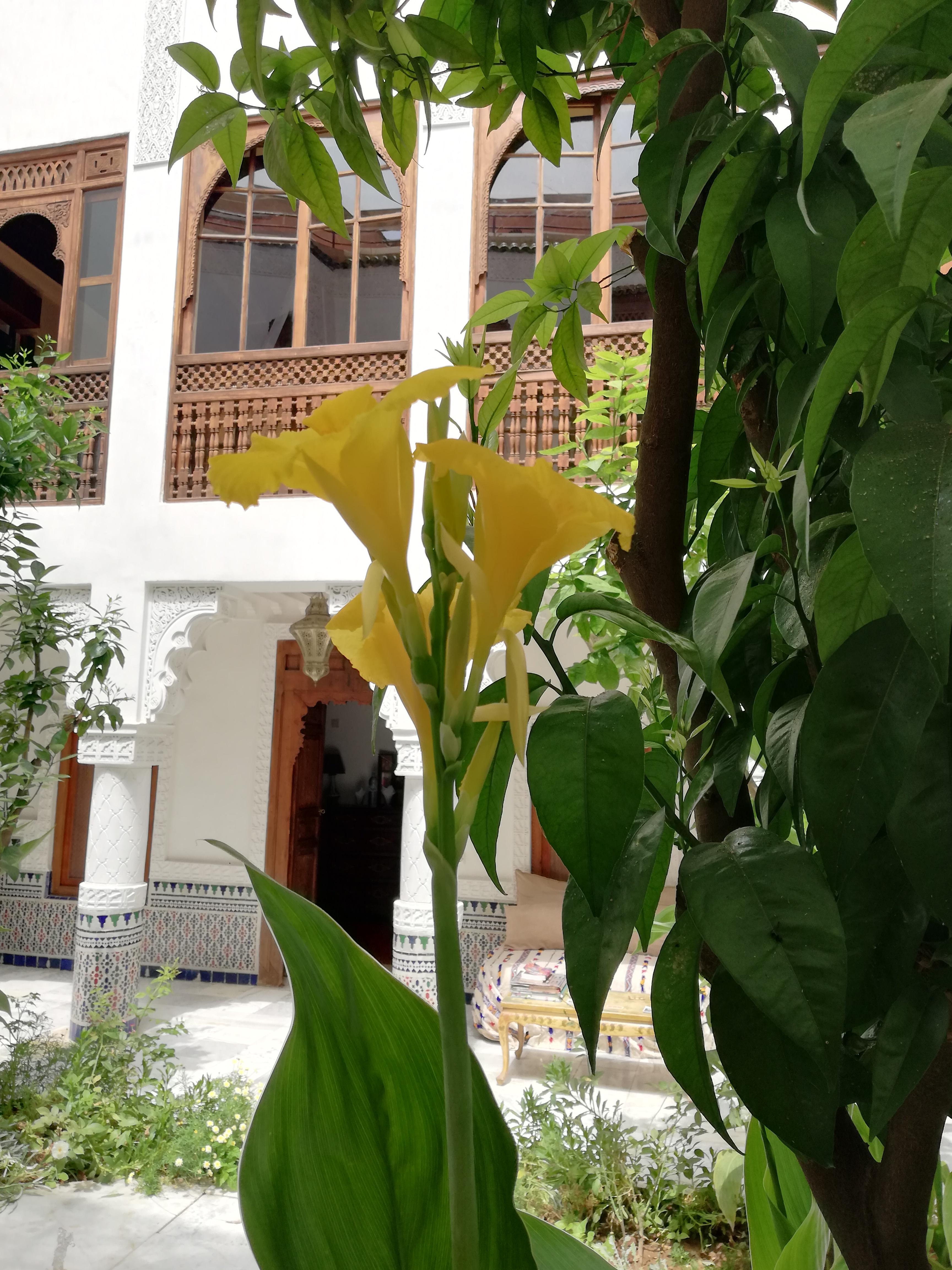 Riad Ben Youssef Marrakesh Ngoại thất bức ảnh